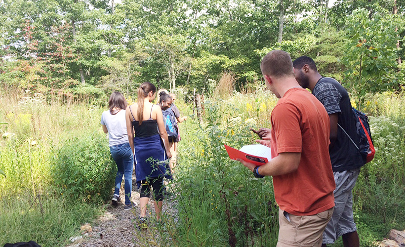 students taking notes in a field