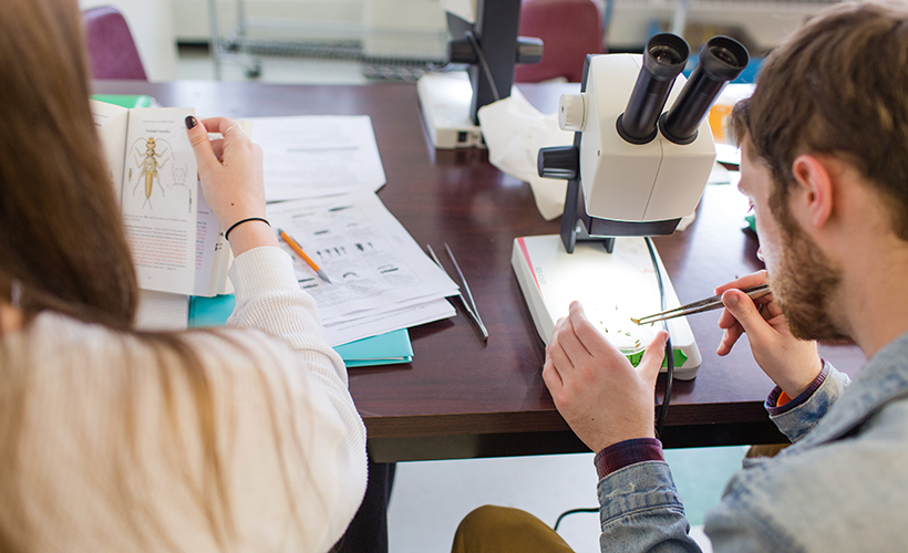 students sitting at a microscope working