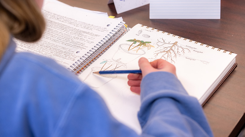 student writing about cannabis in a notebook