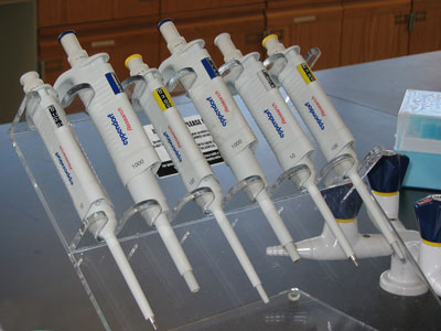 Adjustable micropipettes