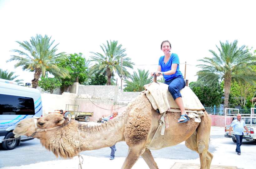 Student riding a camel