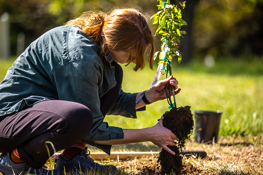 Independent Research