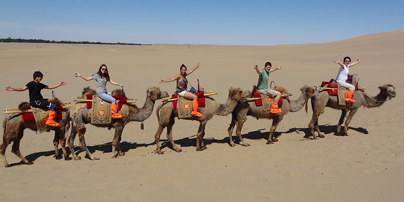 Professor Stella Xu and students on camels