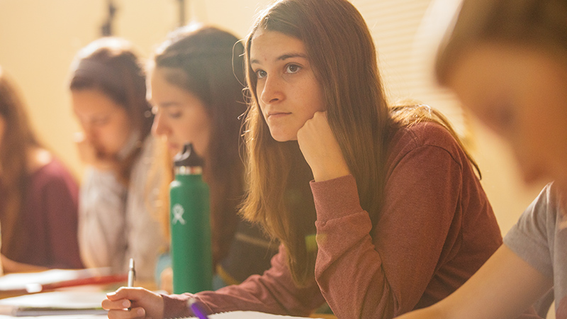 students in class