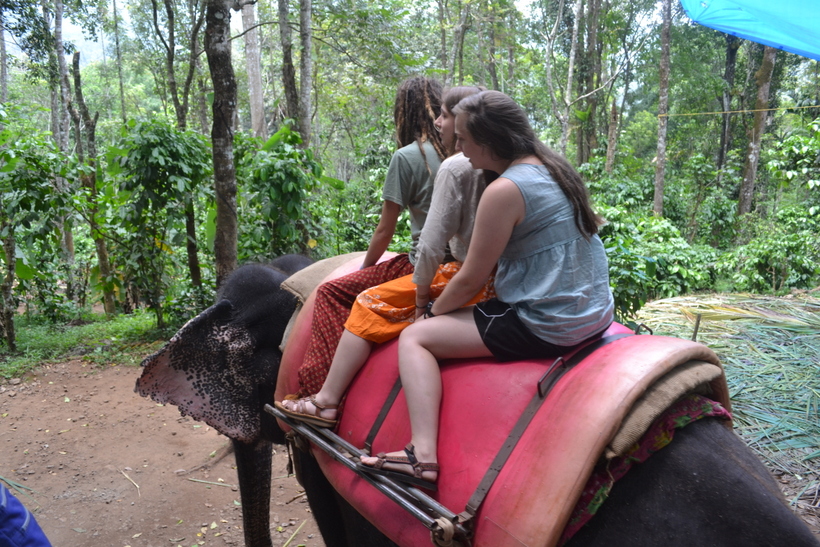 Students riding on an elephant