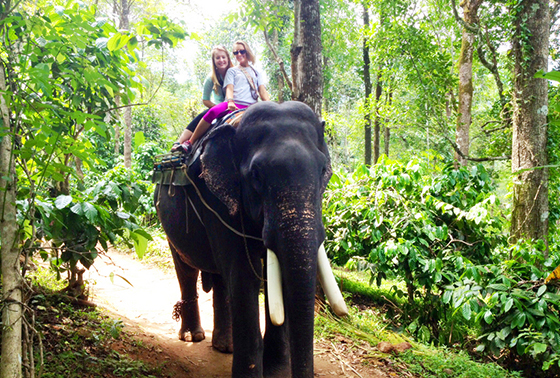 Students riding on an elephant