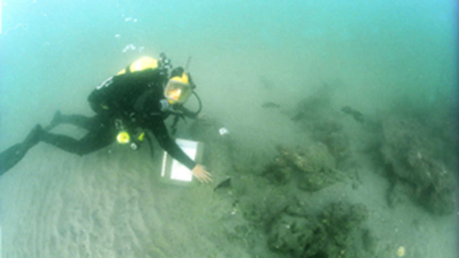 A diver in a scuba suit on the bottom of the ocean