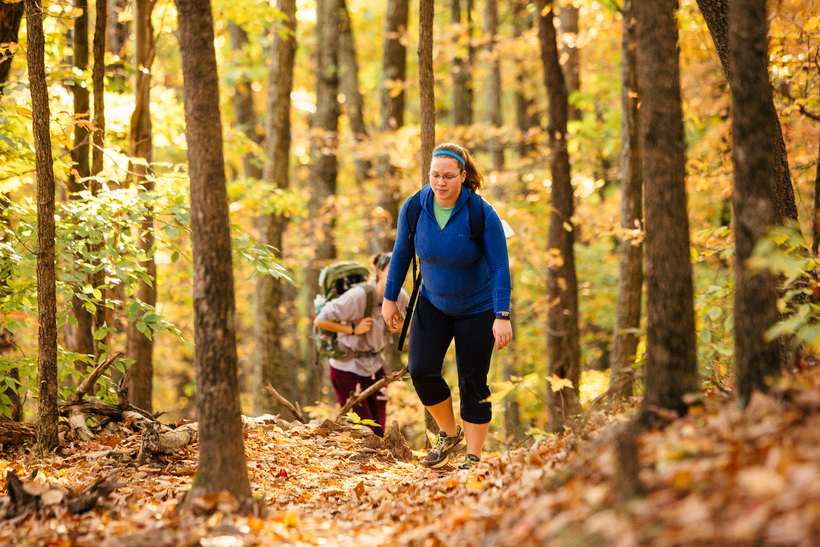 Students taking a hike through the woods