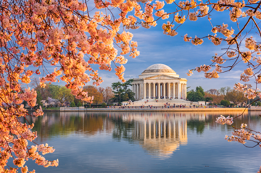 Washington, DC Chapter
