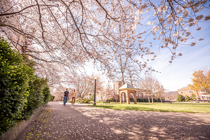 spring on campus