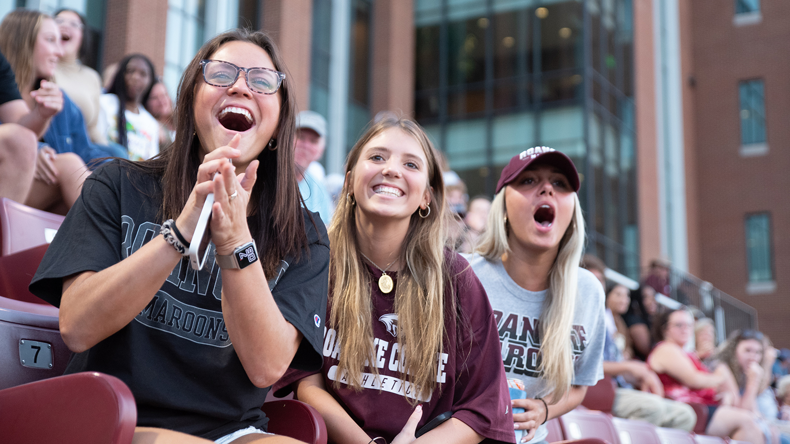 fans at a game