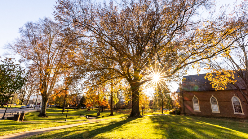 Front Quad at sunrise with lots of trees