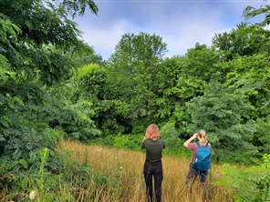 students looking at birds