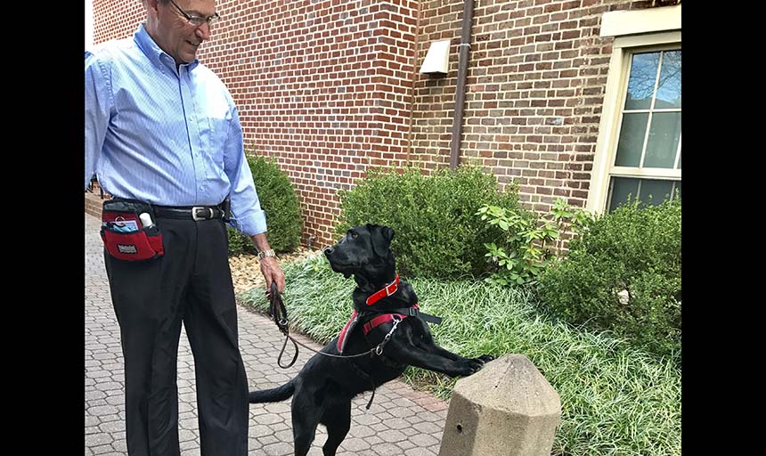 Man walks service dog by the kicking post.