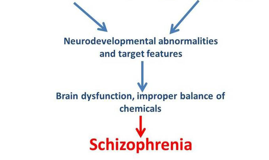 flow chart of factors contributing to schizophrenia