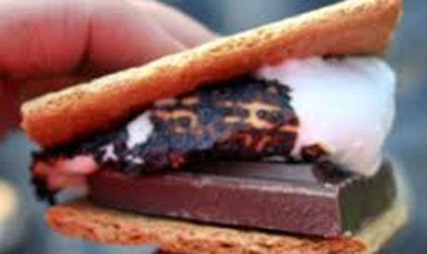 a picture of a smore