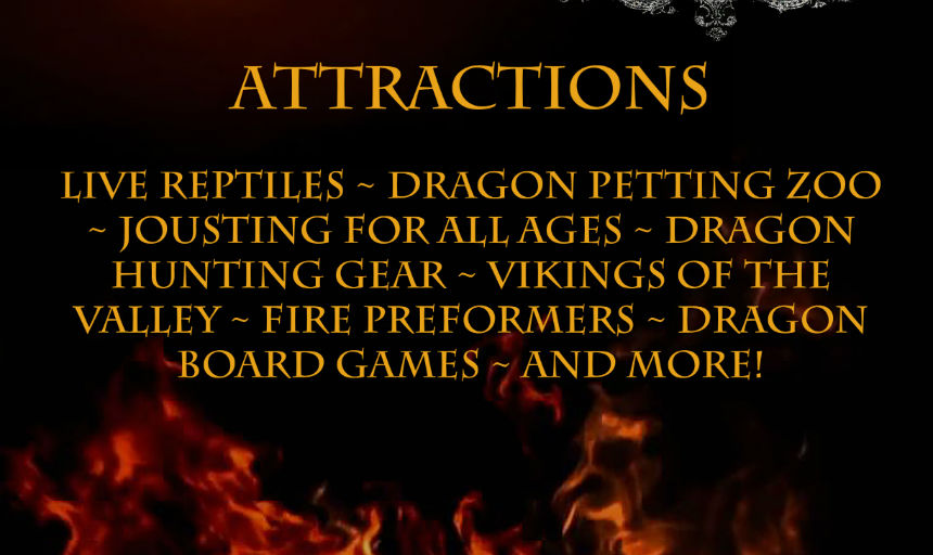 A Festival Celebrating Dragons
