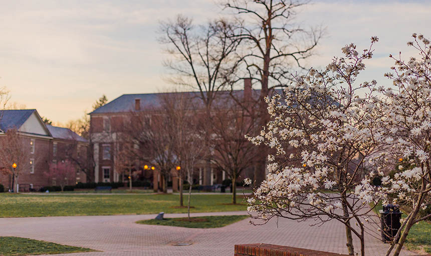 A photo of the back quad