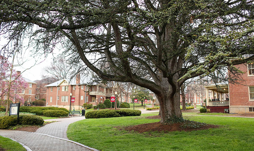 Some of the the front quad and a few buildings