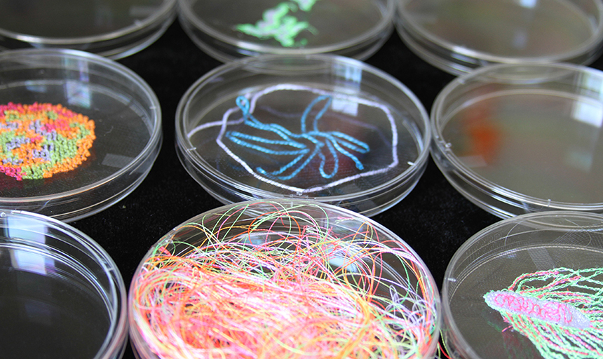 Petri dishes full of string