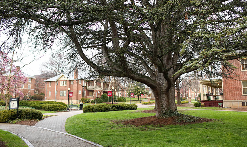campus on a rainy day