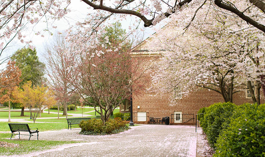 spring on campus