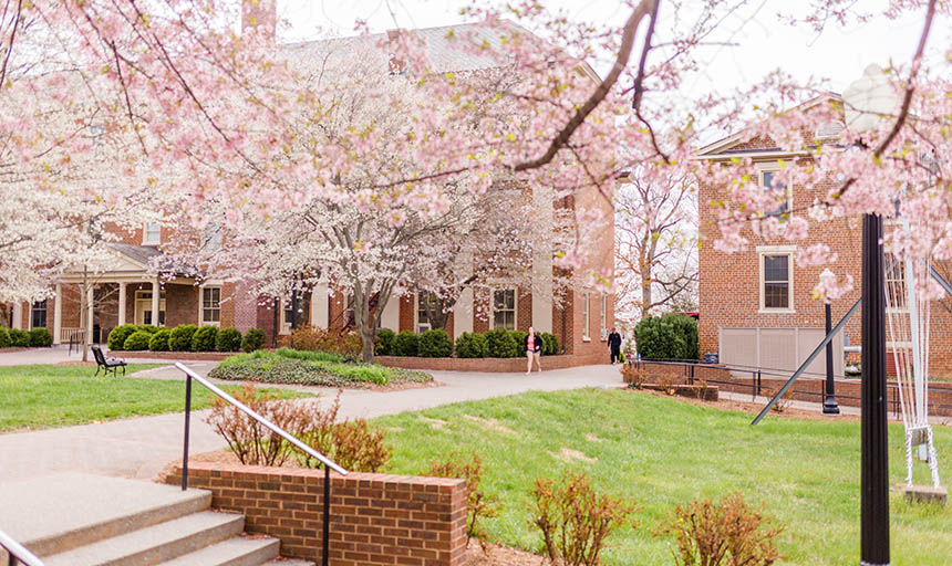 college campus during the spring