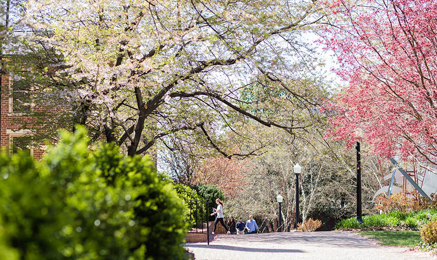 Students walking around campus in the spring