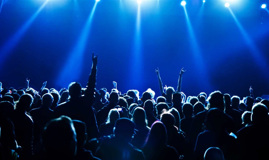 image of a crowd of people at a concert