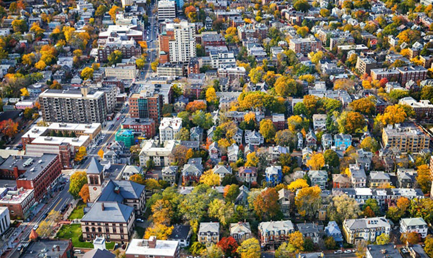 city streets with lots of trees 