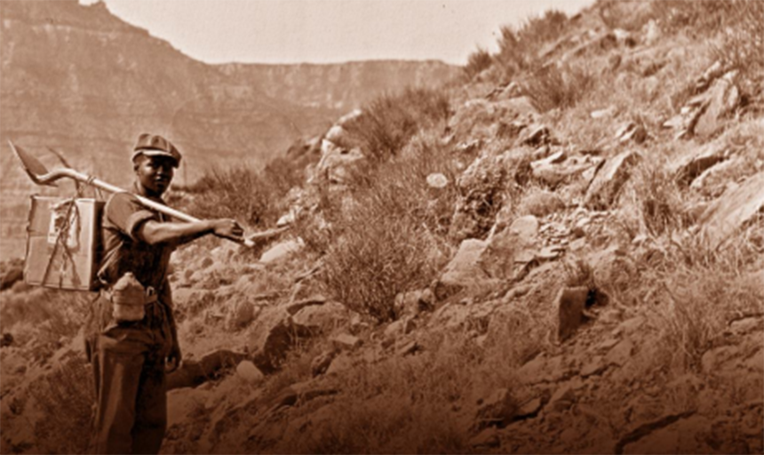 An old photo of a black person working in Arizona