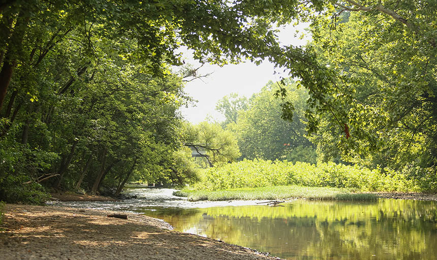 a photo of the river and trees on either side