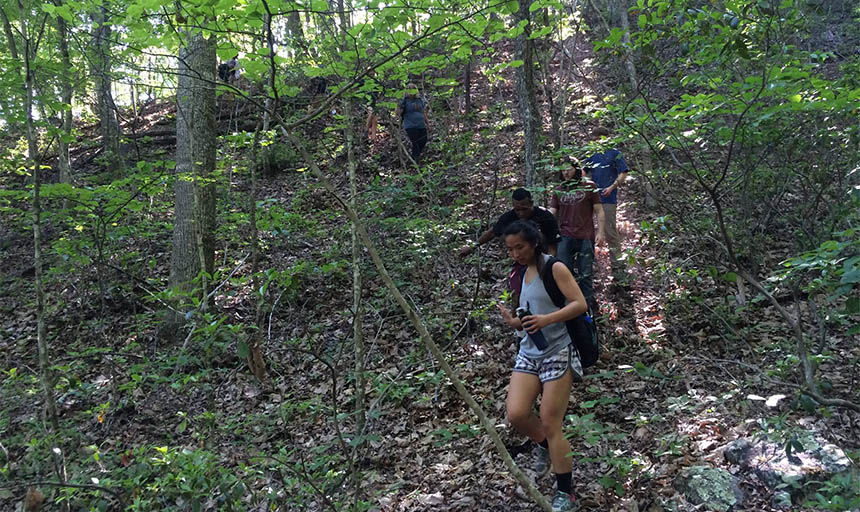 students walking down a trail in the woods
