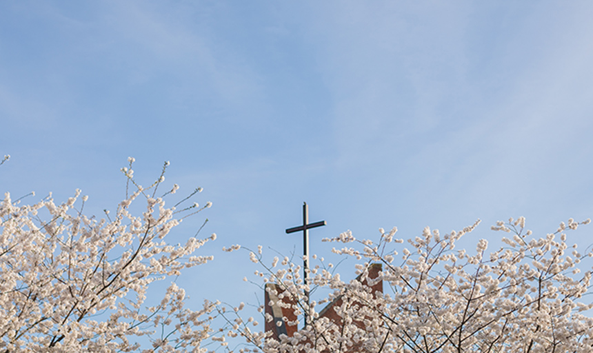 a cross in the spring surrounded by blooming trees