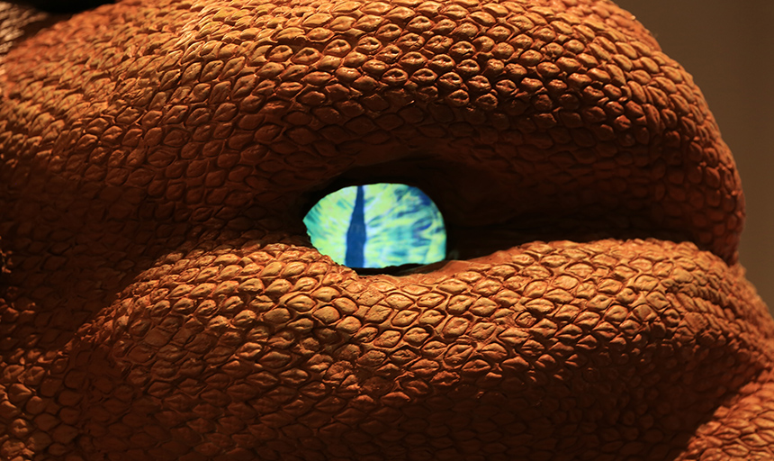 close up picture of a dragon eye