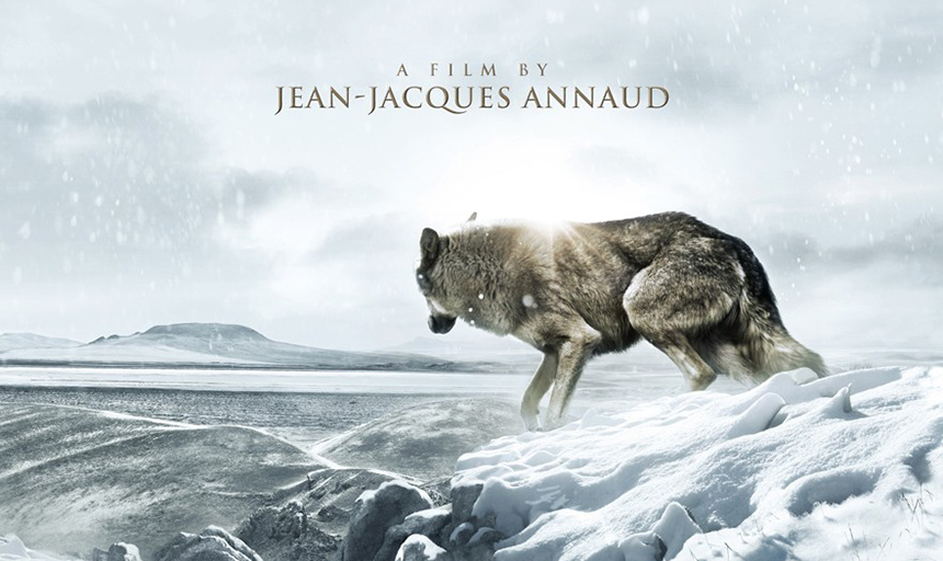A film by Jean-Jacques Annaud. Wolf standing in the snow