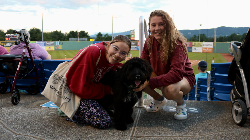 Bark in the Park