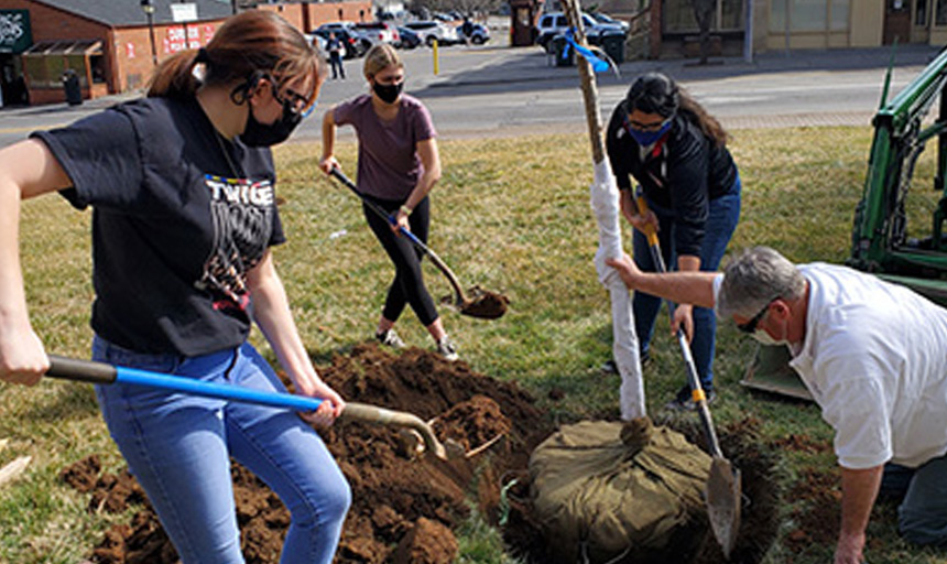 students planting a tree