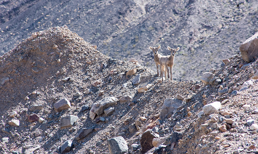 Bighorn Basin