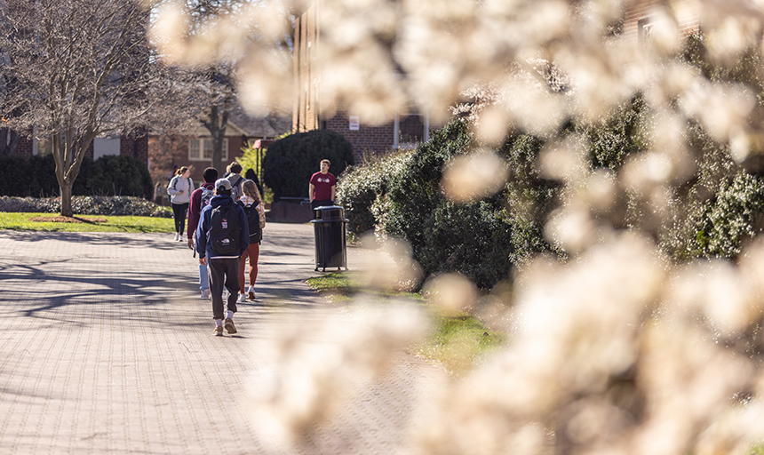 students in spring 