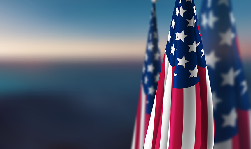 image of u.s. flags
