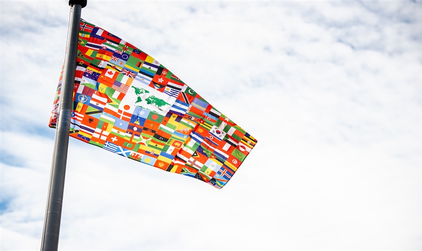 Photo of the unity flag 