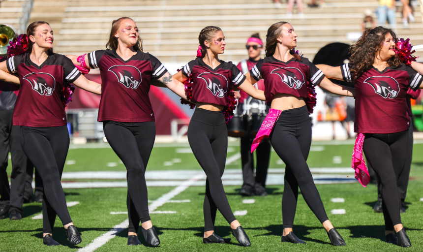 Dance Team Showcaseevents image