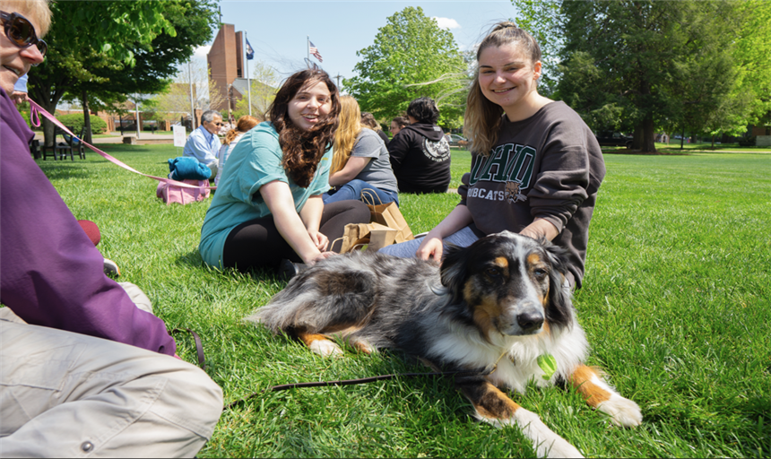 RC Resetevents image