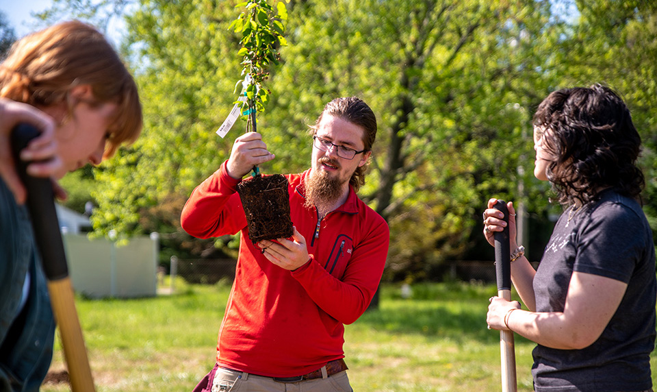 figure holding a plant