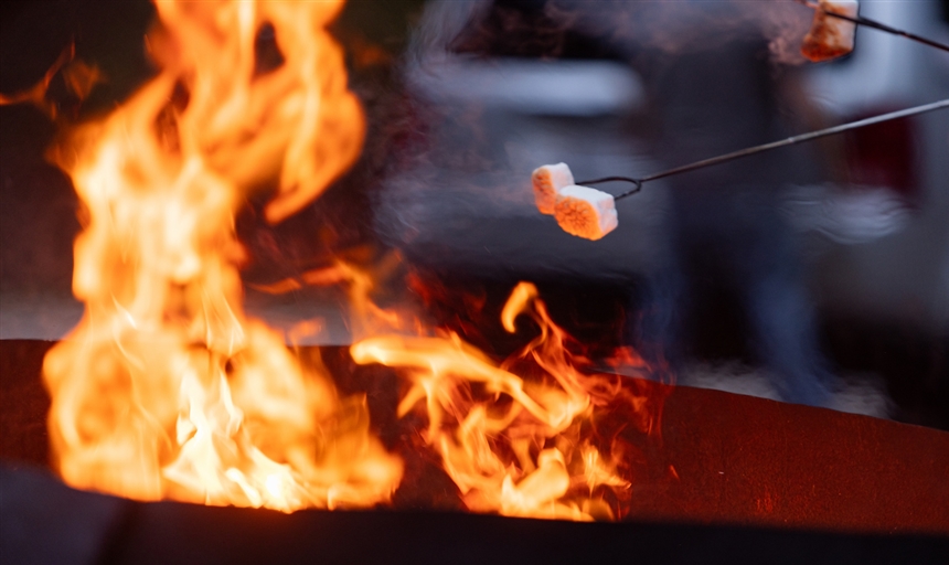 marshmallow on a stick roasting over an open fire 