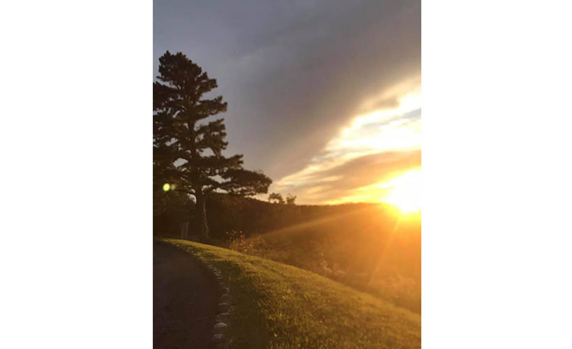 sun setting over a ridge with a tree silhouette in the foreground 