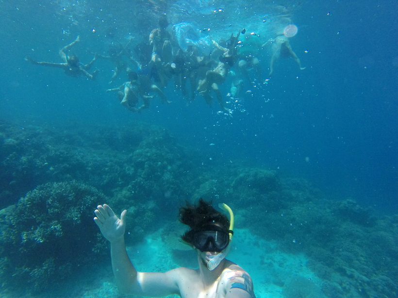 Students snorkeling