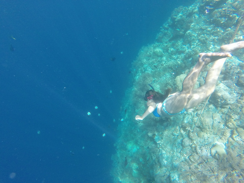 Student snorkeling