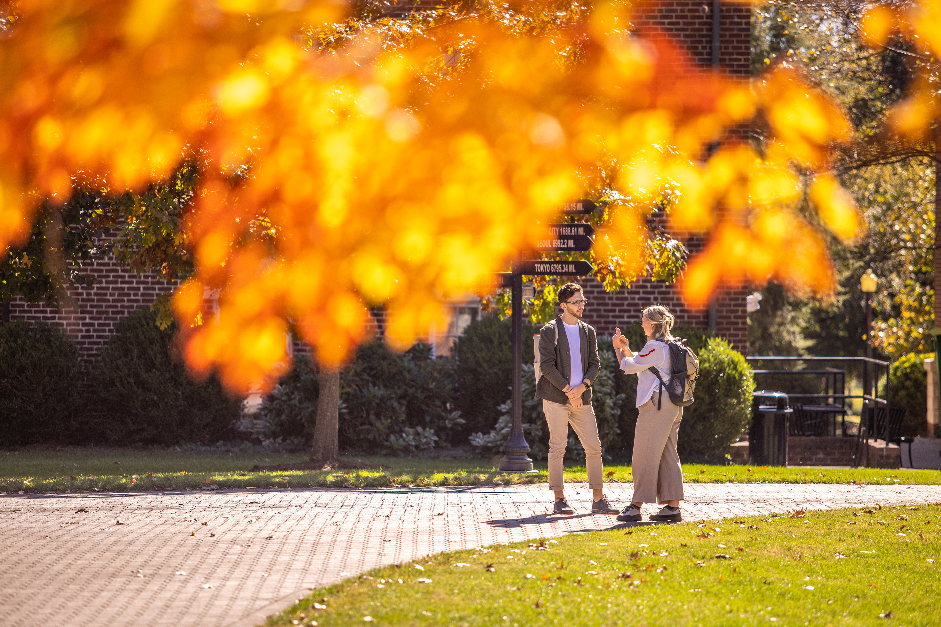 Campus in fall
